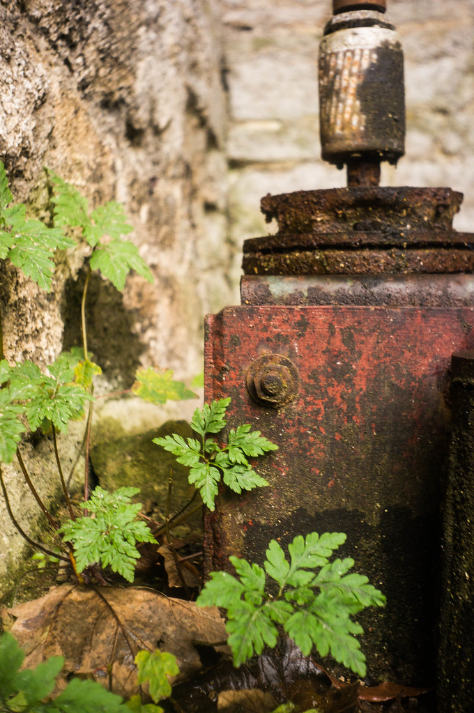Machine and Leaves Rawson's Mill, Halifax, West Yorkshire … Flickr