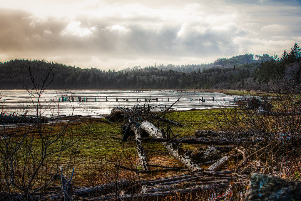 Low tide Bay near Tokeland, WA at low tide Aja Rai Flickr