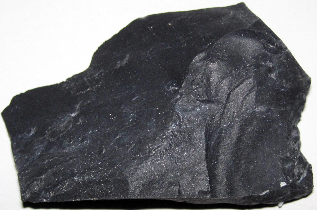 Zaleski Flint (Middle Pennsylvanian; west of Creola, northern Vinton County, Ohio, USA) 33 a