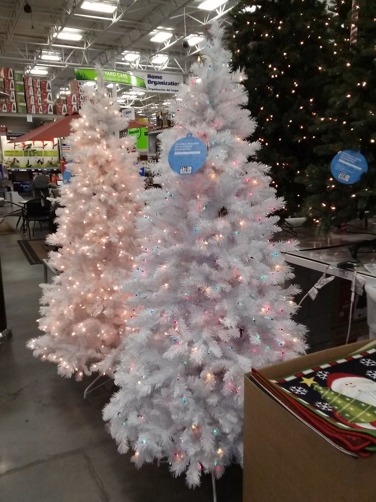 Christmas Trees at LOWES vpqv ☺︎‍ Flickr