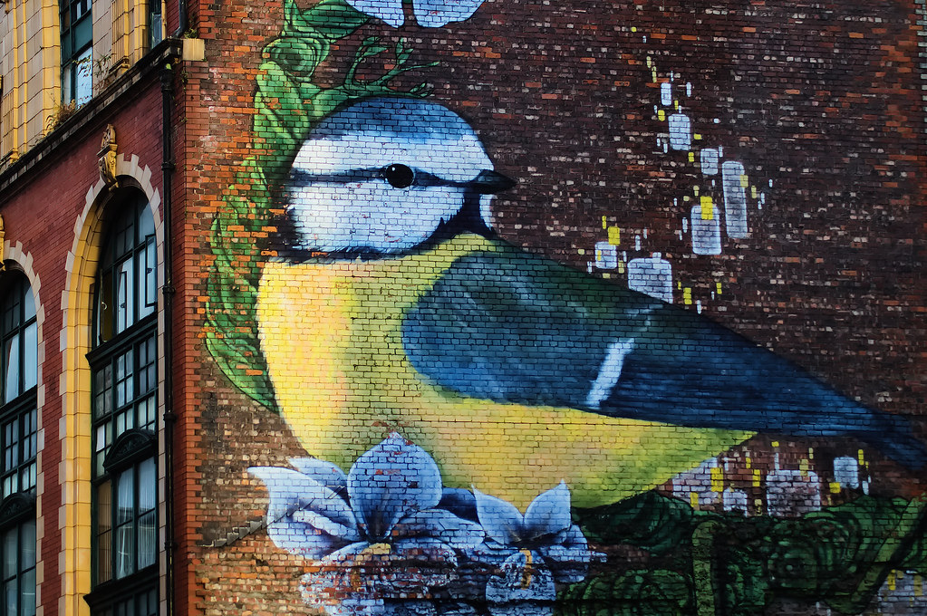 DSC_4571 urban bird wall art Manchester Filip Patock Flickr