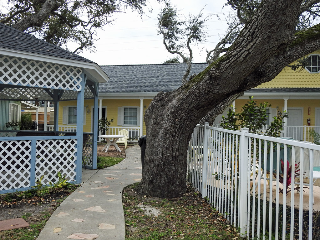 Day 2, Pelican Bay Resort, Rockport, South Texas The Fox S… Flickr