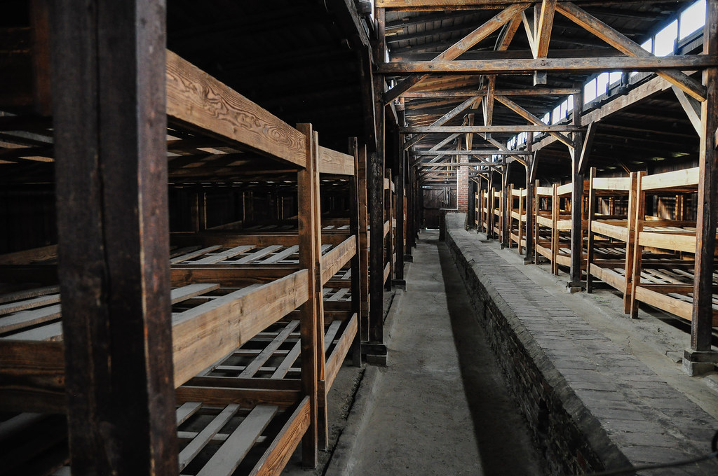 Bunk beds in Birkenau The living conditions in Auschwitz I… Flickr