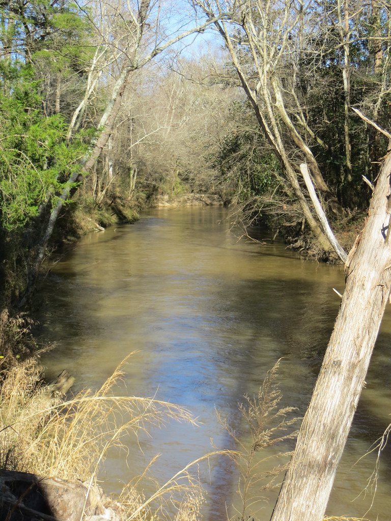 Elevation of AL, Elba, AL, USA Topographic Map Altitude Map