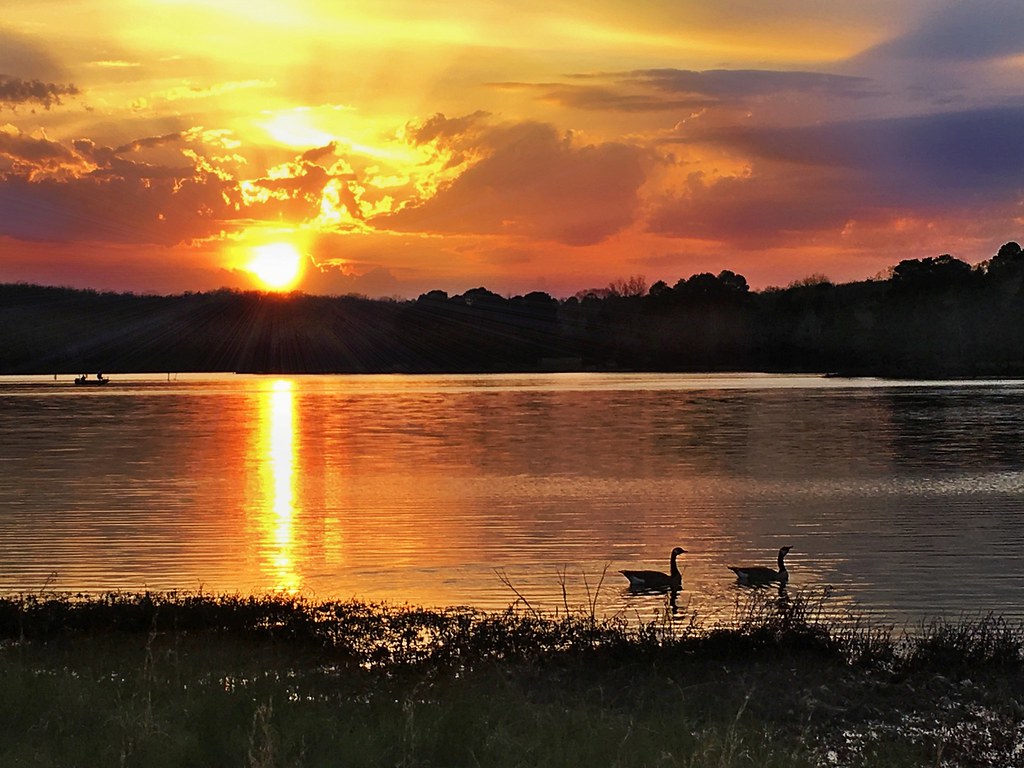 Spencer Lake Sunset Geese on Spencer Lake at sunset. Sharon Flickr