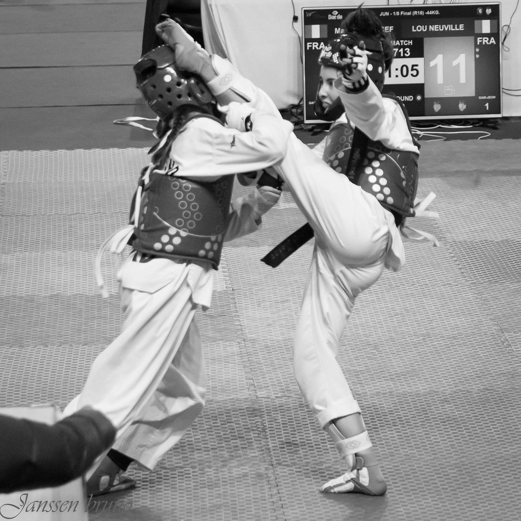 Championnat de France Taekwondo junior mars 2019 E Taekwondo Flickr