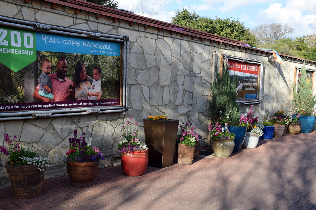 Potted Plants San Antonio Zoo, TX Karen Flickr
