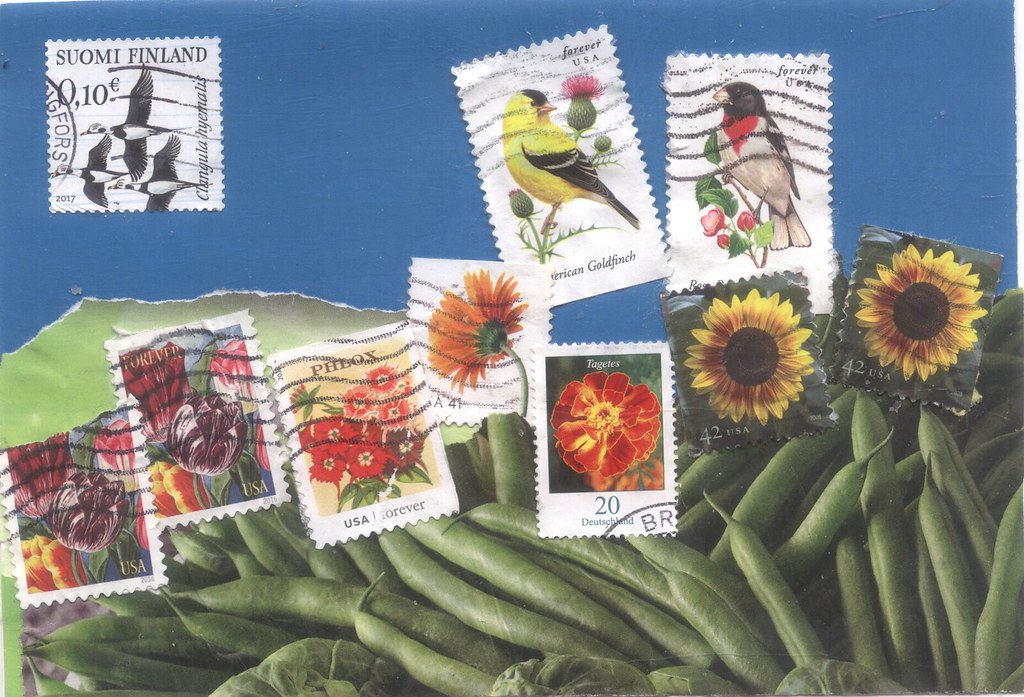 postage stamp garden Green papers ripped from magazines. V… Flickr