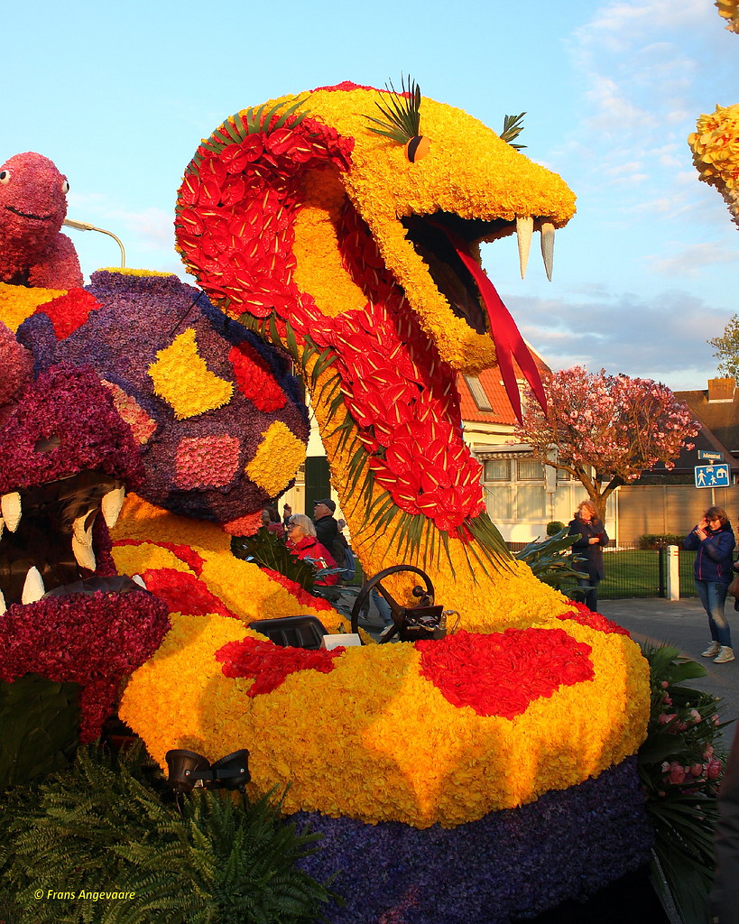 CSB3102 Noordwijkerhout 12042019. Flower parade / bloeme… Flickr