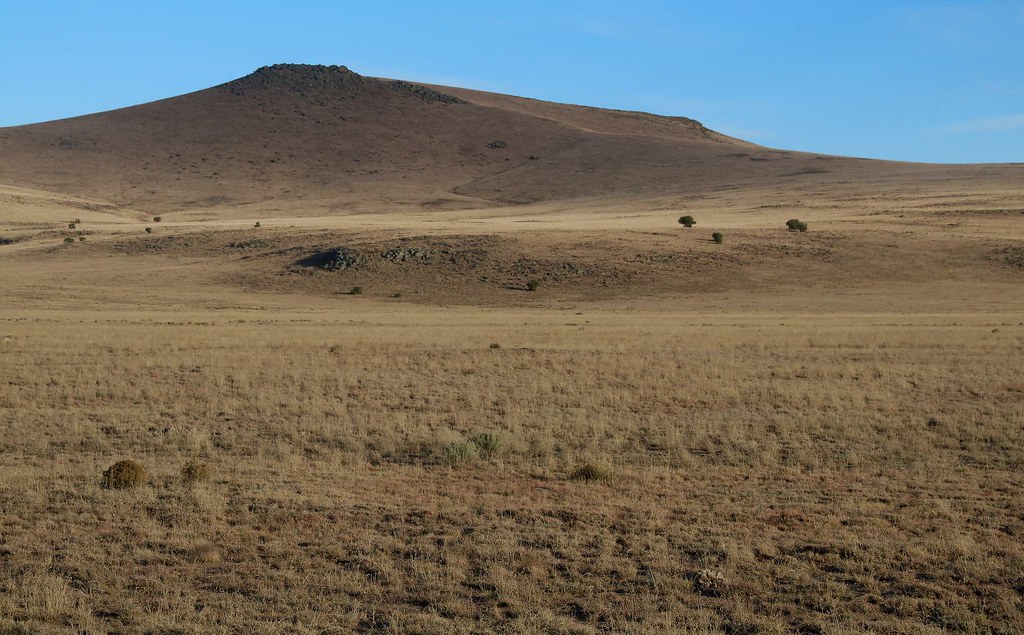 SW of Quemado, NM FSR 19, Apache NF, SW of Quemado, NM Lon&Queta