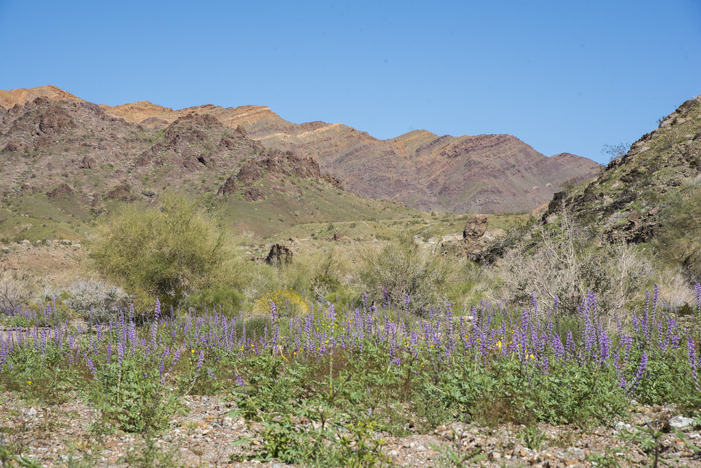Bradshaw Trail National Back Country Byway The first road … Flickr