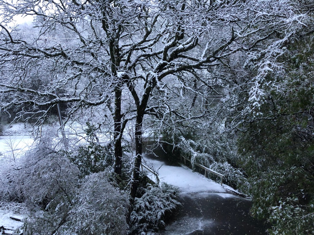 Snow on the ground, Auburn, Placer County, California Flickr