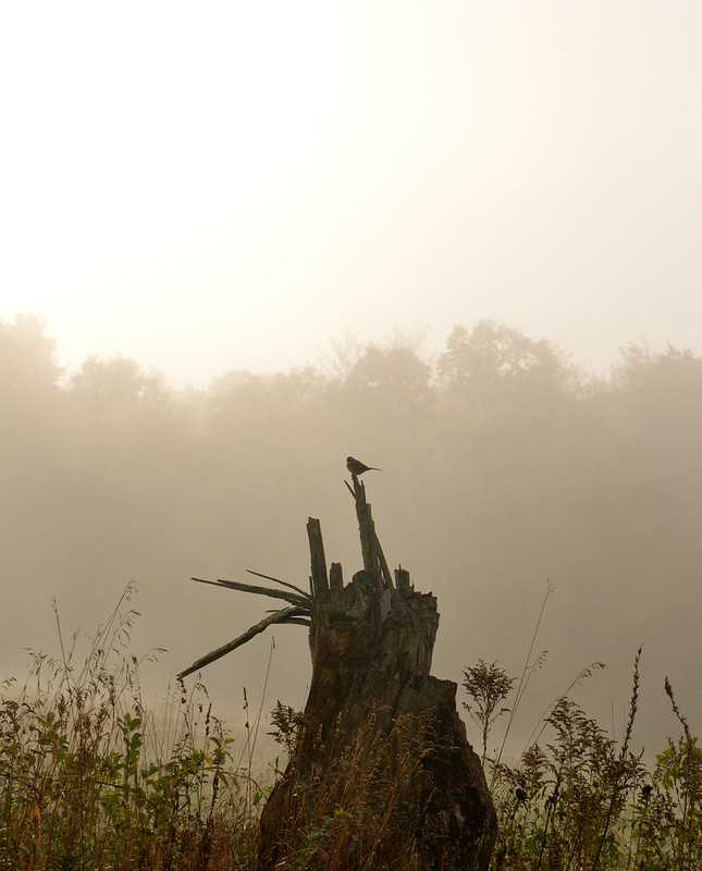 East Concord Heritage Trail Flickr