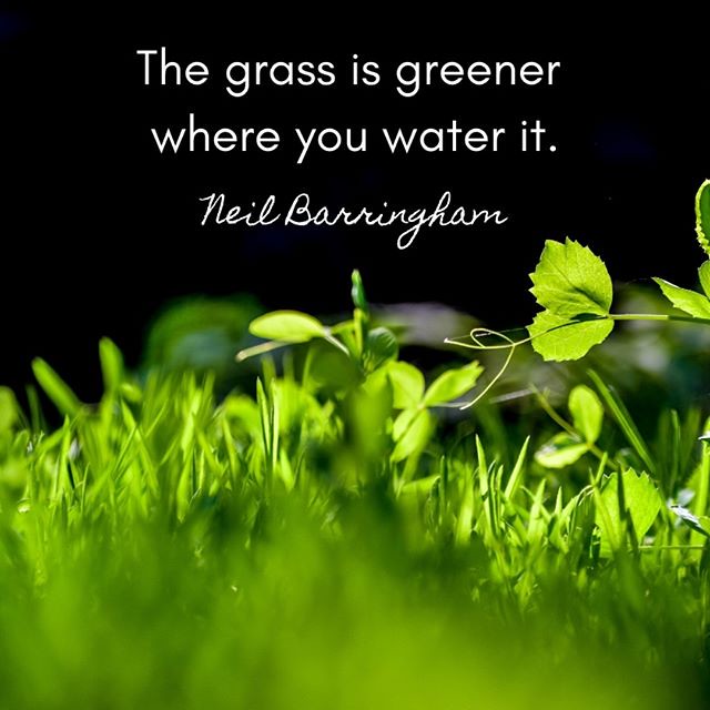 The grass is greener where you water it. Neil Barringham… Flickr