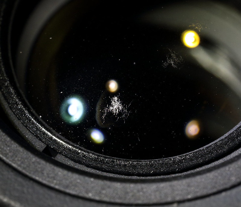 Canon EFS 1585 Zoom Lens with Fungus Flickr