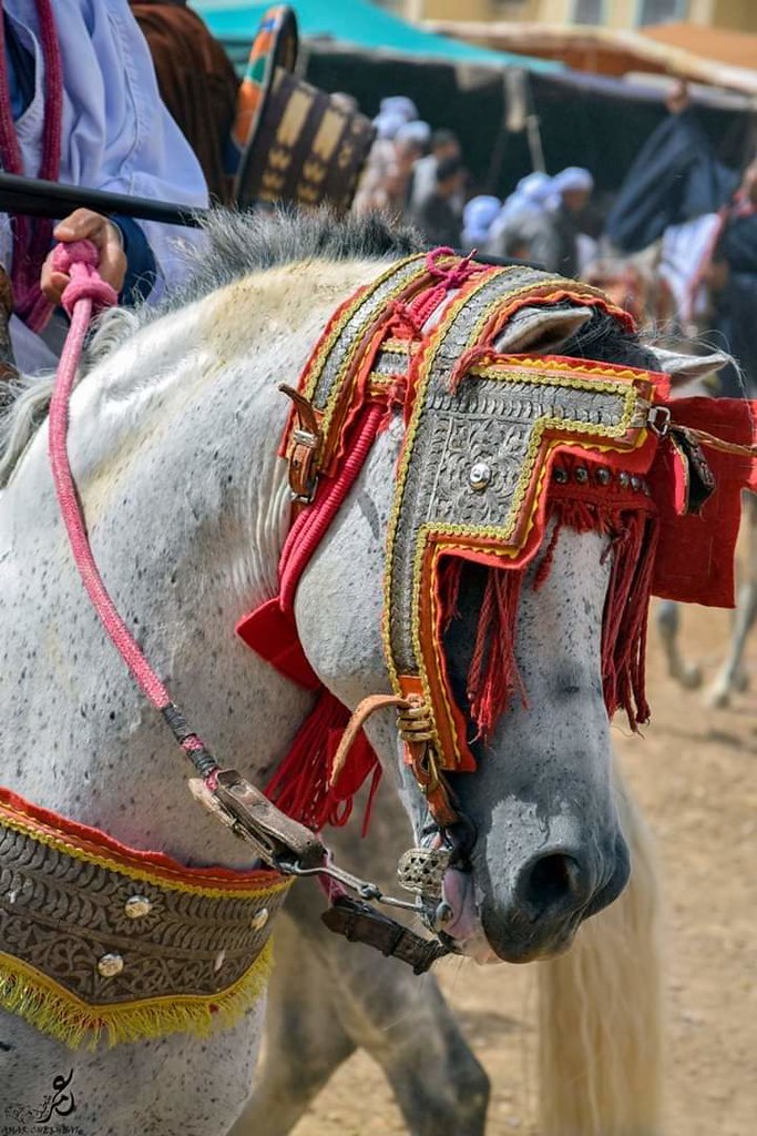 Mascara Algérie Algeria مدينة معسكر الجزائر الاصالة و ال… Mouad