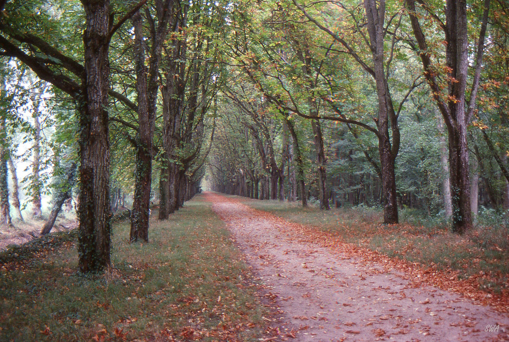 France SWA Photo Flickr