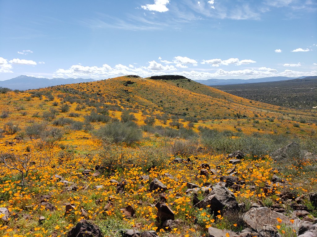 Peridot Mesa, San Carlos Reservation, Arizona Garrick Schermer Flickr