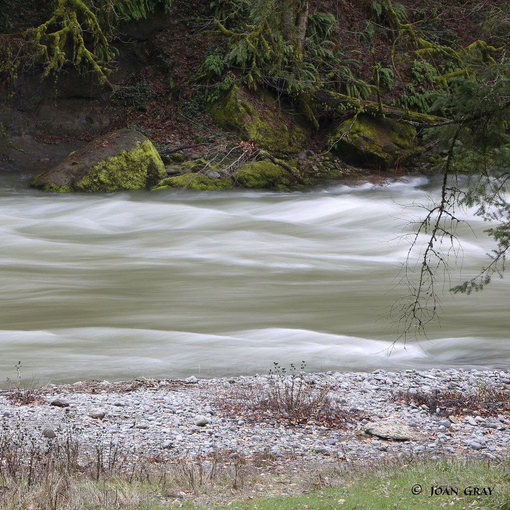 Little North Santiam River (explored) Mehama, Oregon Joan Gray Flickr