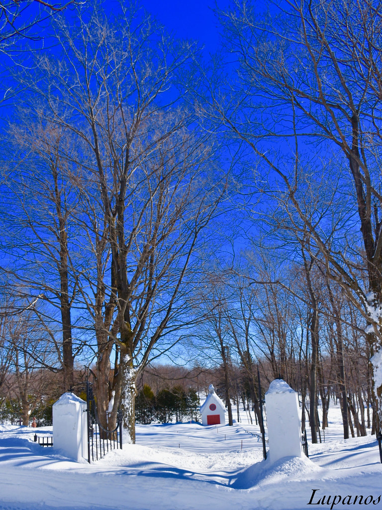 Cimetière de SaintePétronille ( Ile d'Orléans ) Flickr