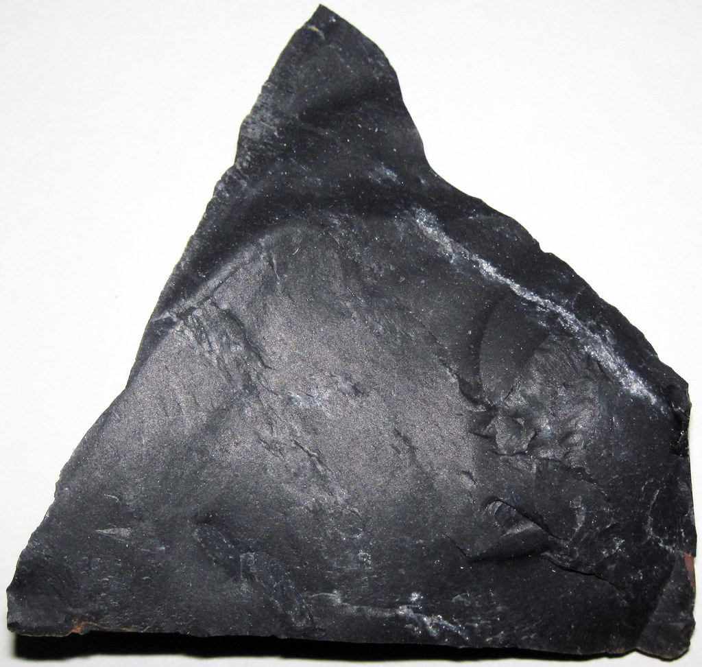 Zaleski Flint (Middle Pennsylvanian; west of Creola, northern Vinton County, Ohio, USA) 35 a