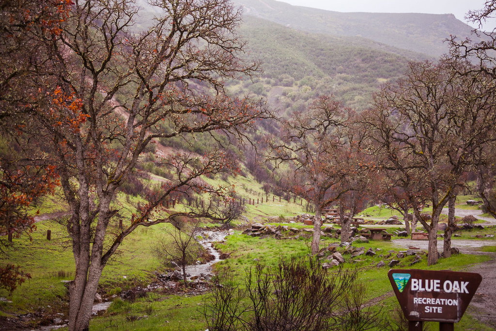 Indian Valley Blue Oak Camp Ground North of Highway 20, … Flickr