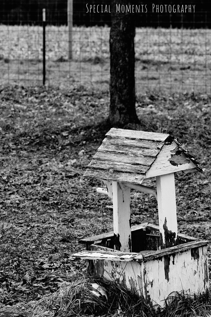 Weldon Creek Farm Photobook 2019 Flickr