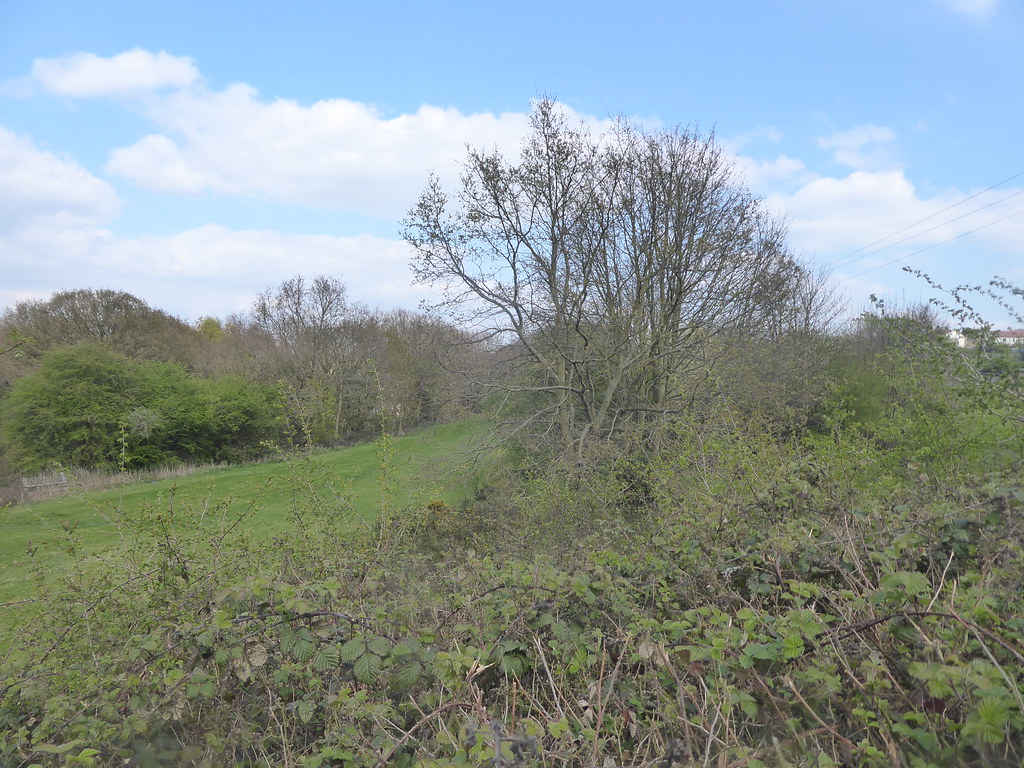 Site of Ryhill and Wintersett Station, Wakefield (Former B… Flickr