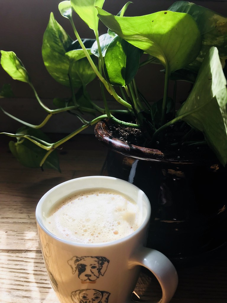 Tea & Pothos R iv Flickr