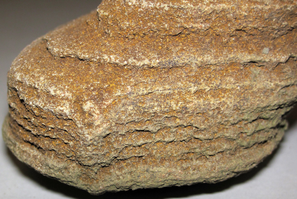 Burrow in sandstone (gravel bar clast, Chatham, Ohio, USA)… Flickr