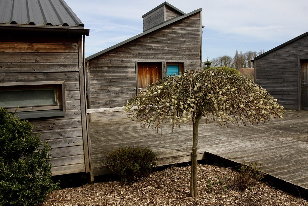 Les cabanons du port Port de plaisance HalluinMenin, Hall… Flickr