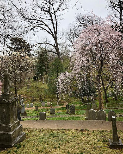 Morning walk through a cemetery via Instagram b… Flickr