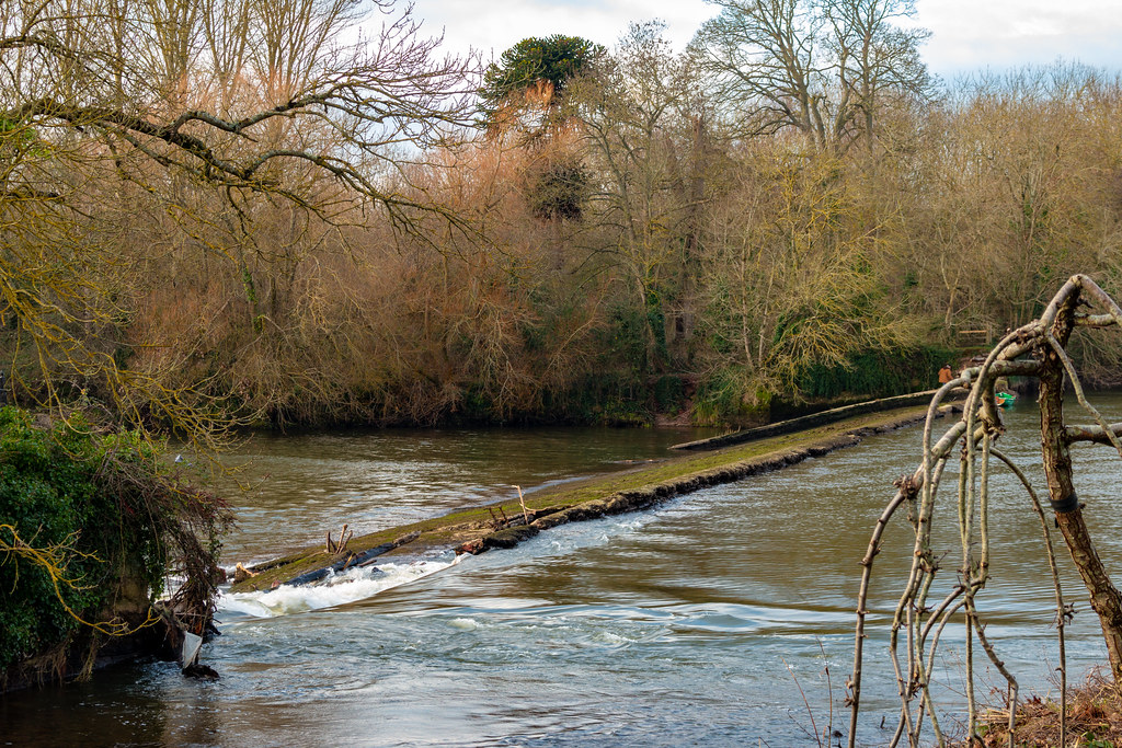 Salmon Pool Weir, Exeter The Salmon Pool Weir is showing c… Flickr