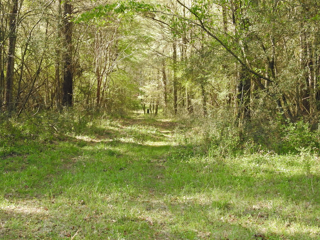 Trison farm, Washington parish, LA Janine in Folsom, LA Flickr