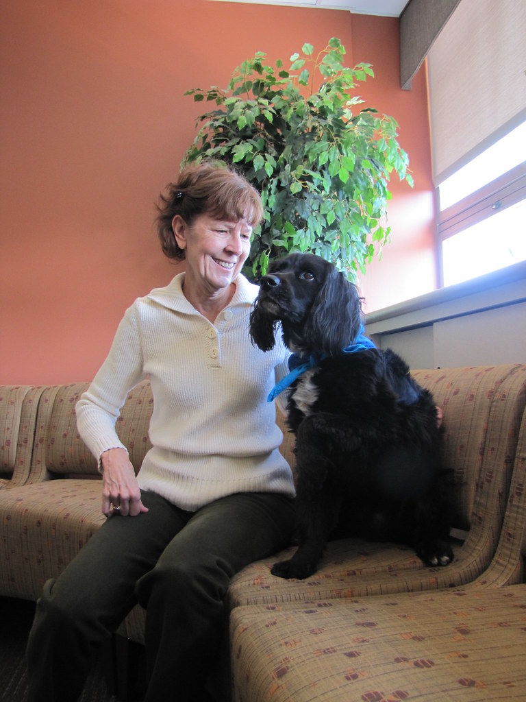 Pet Therapy Volunteer Stephanie Garvey Flickr