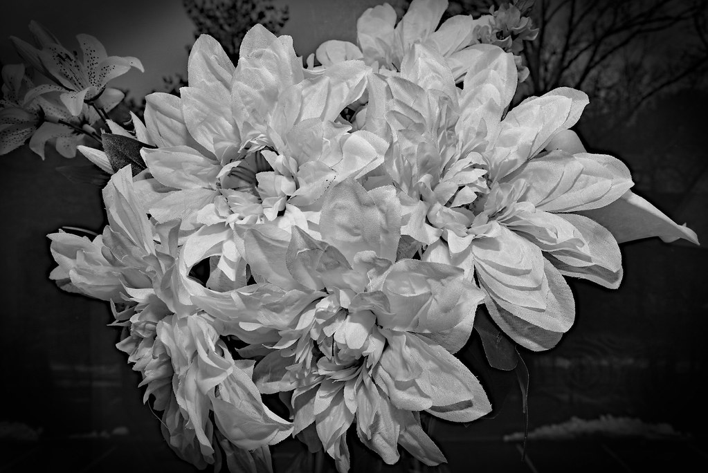 BlackWhite flowers These are all artificial flowers... sdamore1