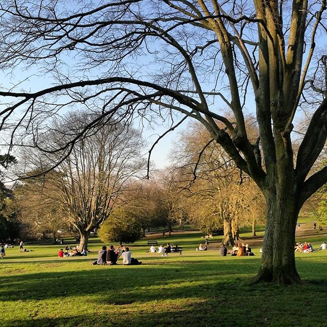 St Andrews Park. February. bristol wereallgoingtodie Flickr