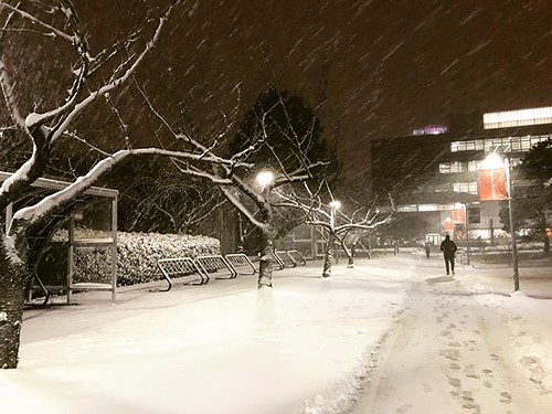 Ah comme la neige a neigé (Émile Nelligan) langaracampus … Flickr