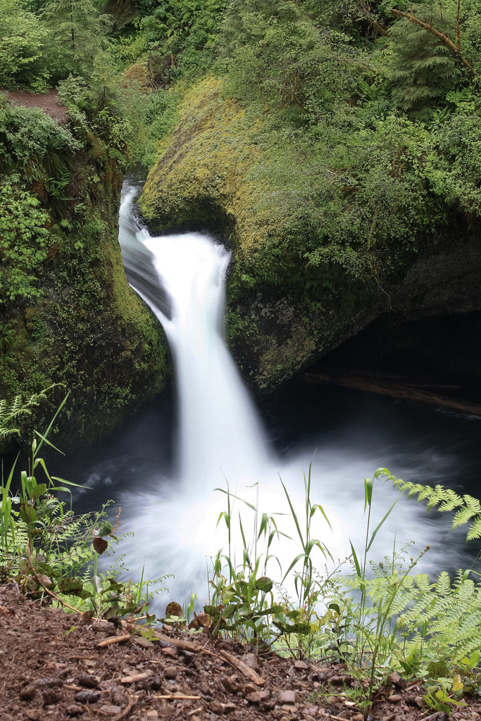 Punch Bowl Falls Punch Bowl Falls on Eagle Creek seen from… Flickr
