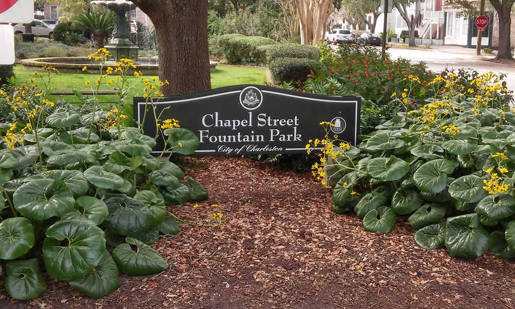 Frankly Charleston Black History Tours By Frankly Charlest… Flickr