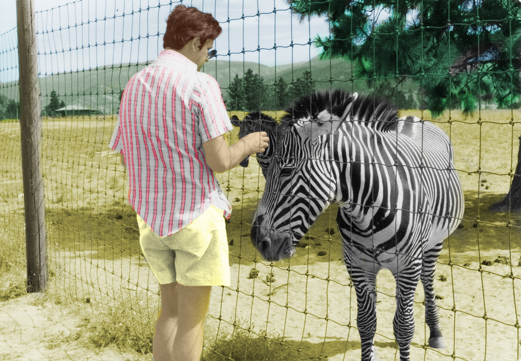 Darcy Mom 1970031 after after Jacky Lin! Flickr