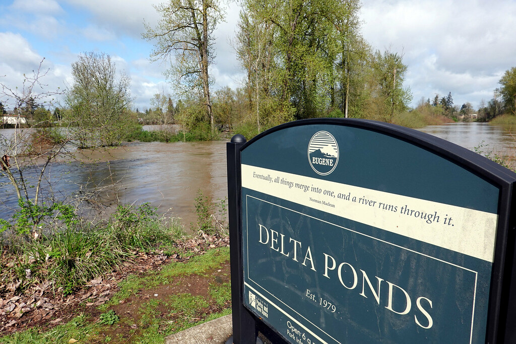 A River Runs Through It After days of record rains the Wil… Flickr