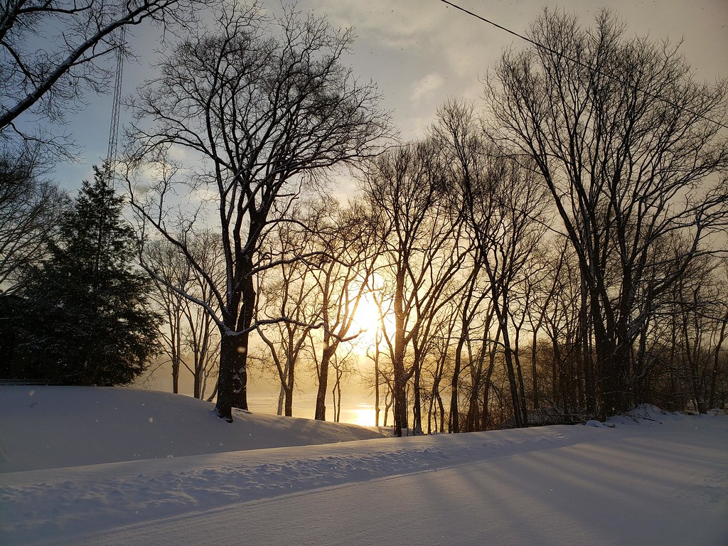 6 March 2019 Morning in Berrien Berrien Springs MI Flickr