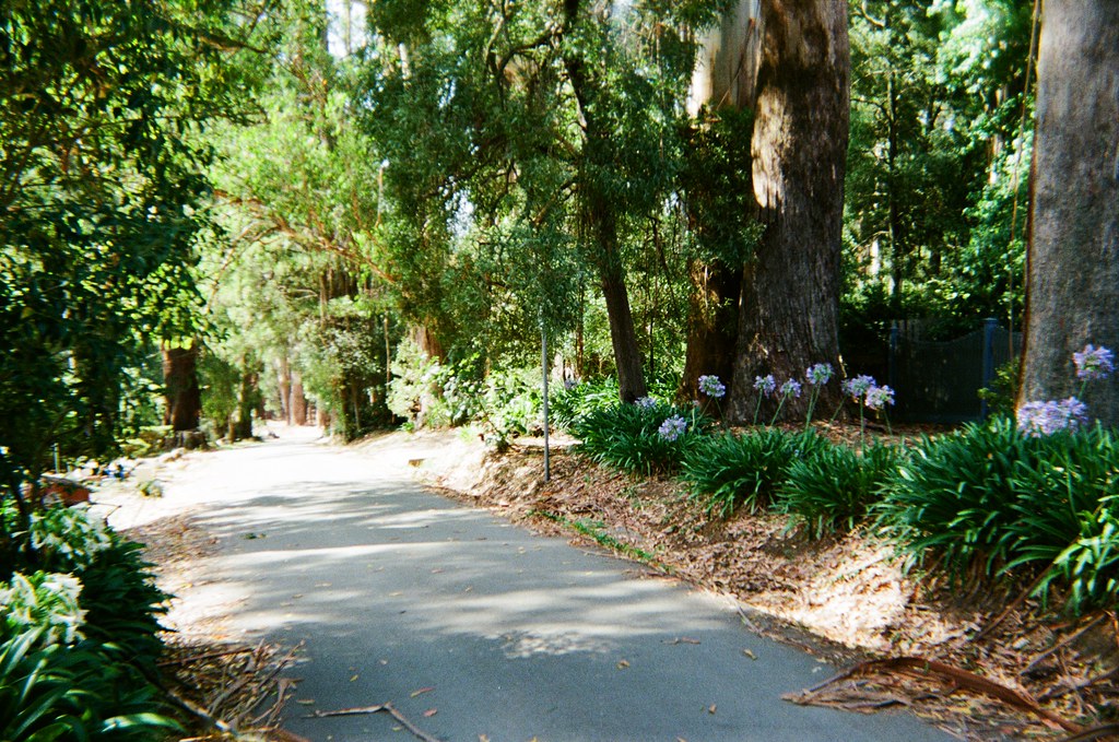 Dickens Road (photo 2) Camera used DSMax HC 2000 Film us… Flickr