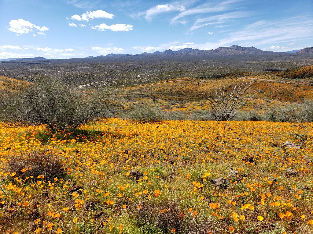 Peridot Mesa, San Carlos Reservation, Arizona Garrick Schermer Flickr