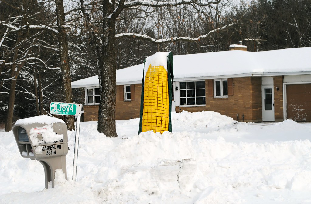 Early Corn Darien, Wisconsin Old 89 Rd., Darien, Wiscons… Flickr