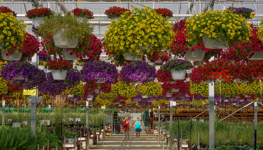 Countryside Greenhouse Flickr