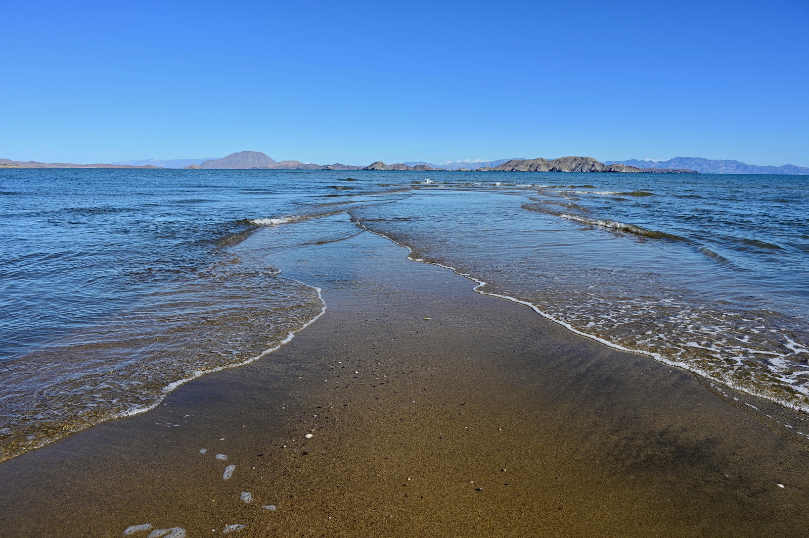 Bahía de Los Ángeles to San Francisquito Frisky Freeze Blog