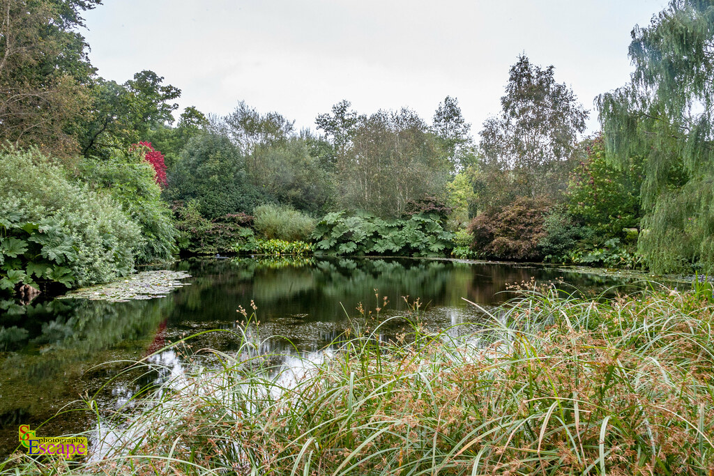 RHS Garden Rosemoor, Torrington, Devon. UK IMG_0144 Boscas… Flickr