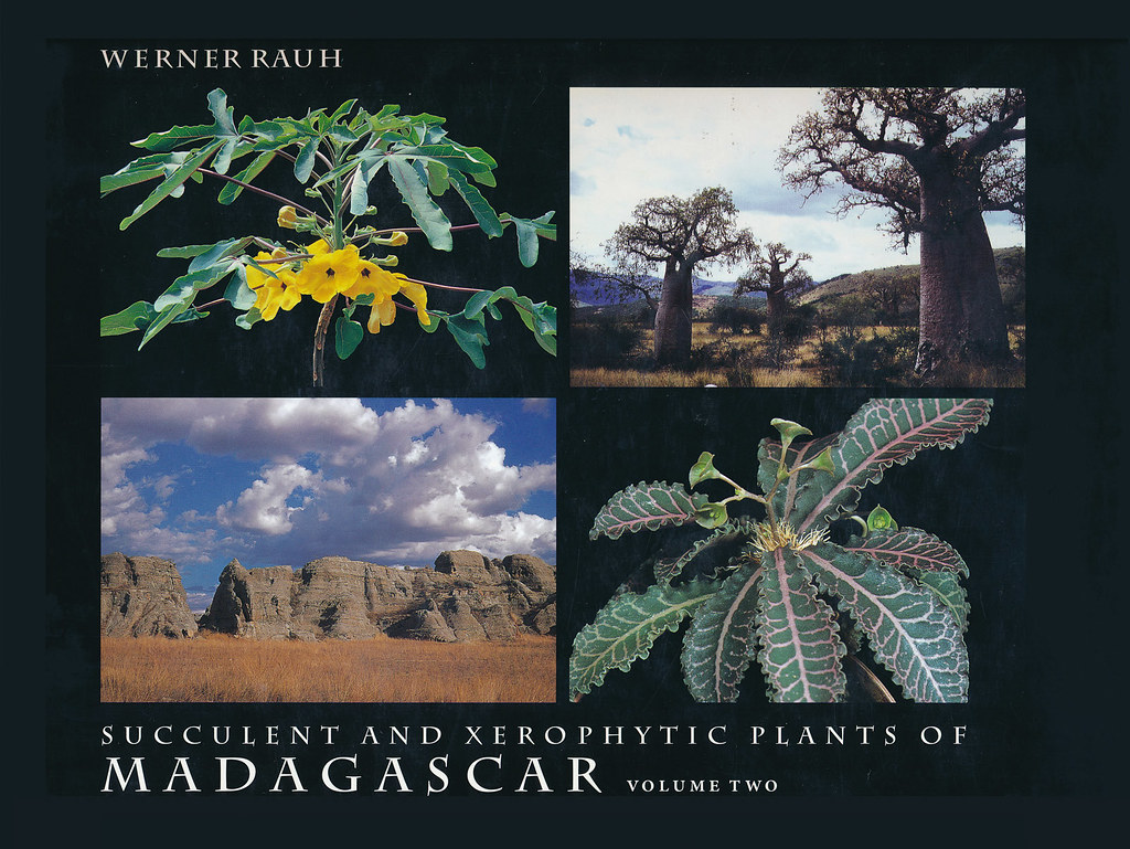 Succulent and Xerophytic Plants of Madagascar volume two b